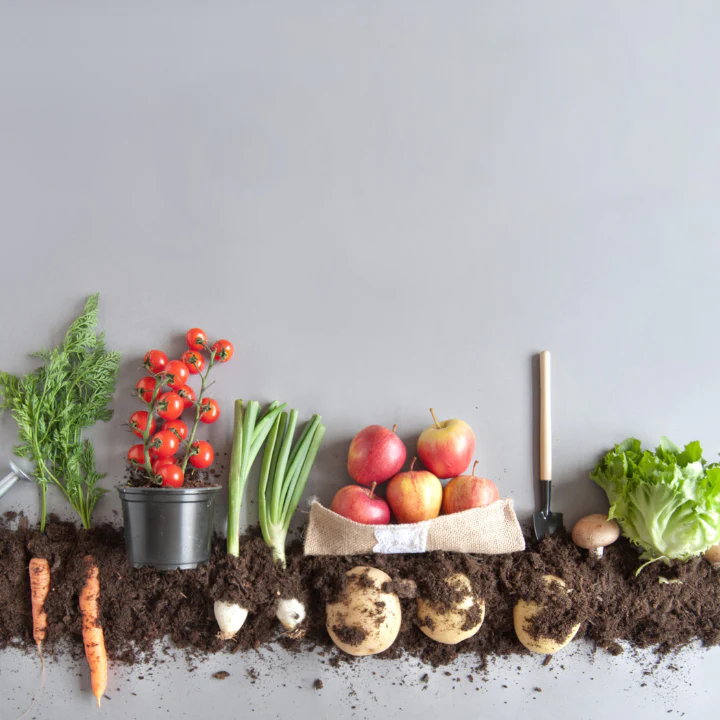 A garden with vegetables and fruits on the ground.