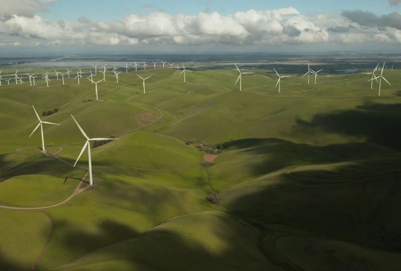 A field with many wind turbines in the middle of it.
